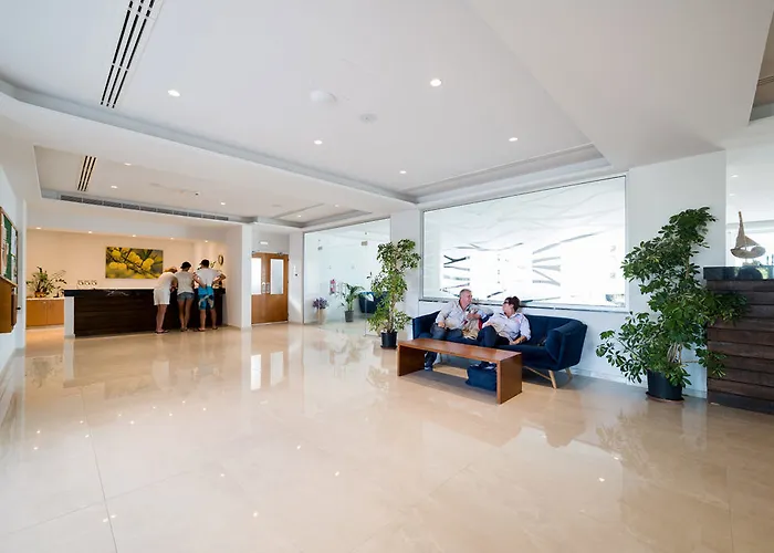 Mimosa Πρωταράς